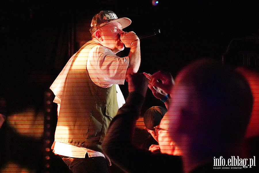 koncert molesta, fot. 32
