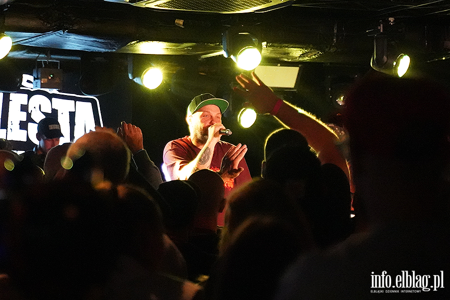 koncert molesta, fot. 34