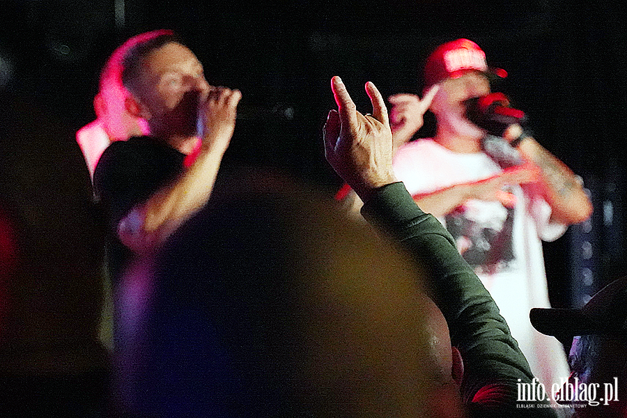 koncert molesta, fot. 41