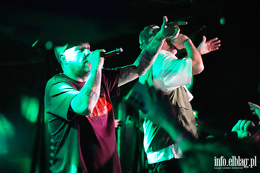 koncert molesta, fot. 43