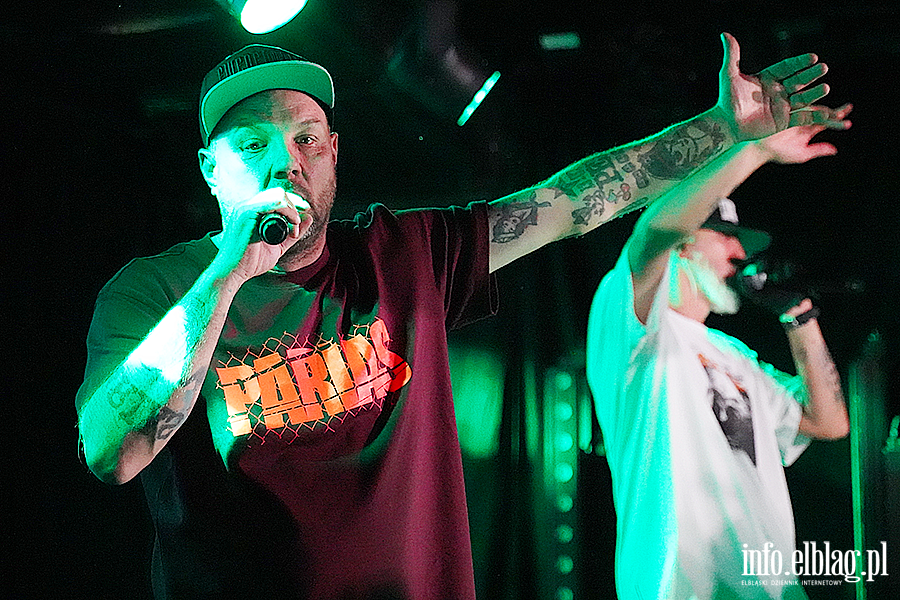 koncert molesta, fot. 44