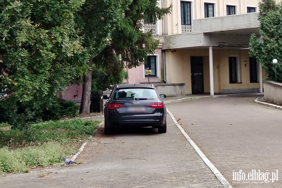 Mistrzowie Parkowania w Elbl�gu (cz�� 513), fot. 12