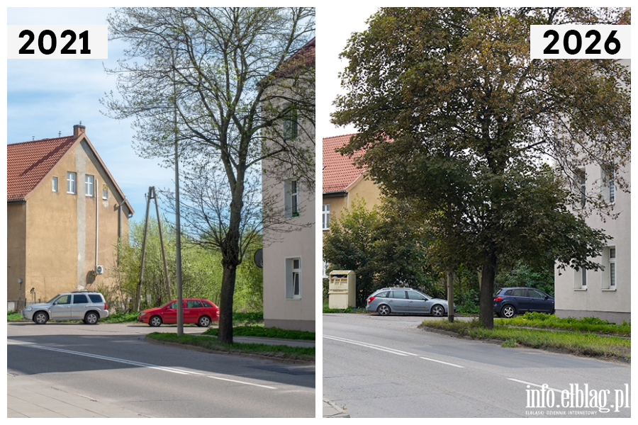 Odwiedzamy elbl�skie ulice cz.2 - Nowodworska , fot. 24