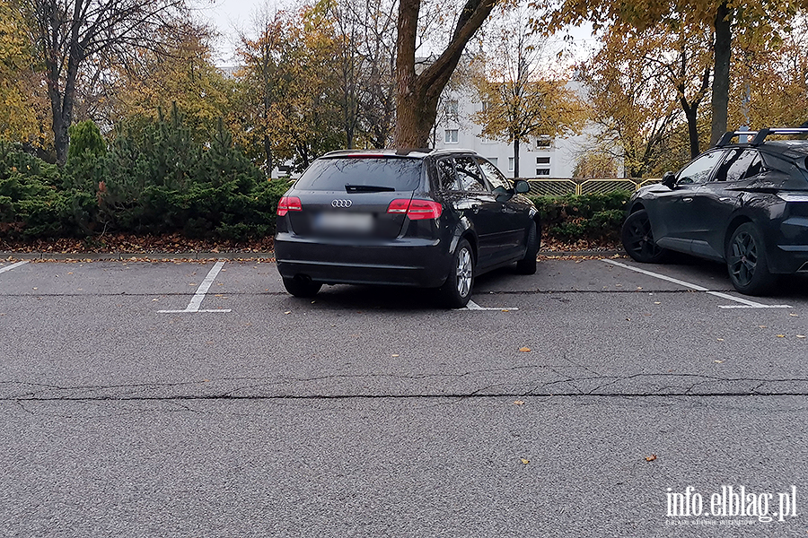 Mistrzowie Parkowania w Elbl�gu (cz�� 517), fot. 7