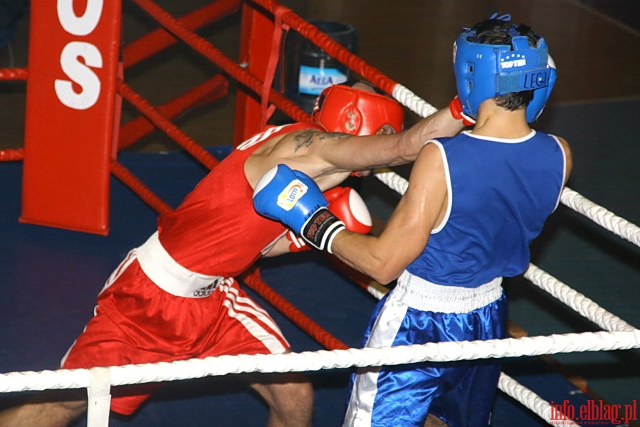 Turniej Bokserski Grand Prix o Puchar PZB w Elblągu, fot. 16