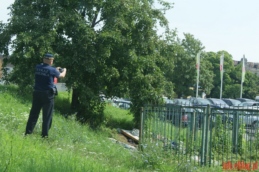 Jeden dzie okiem patrolu Stray Miejskiej, fot. 5