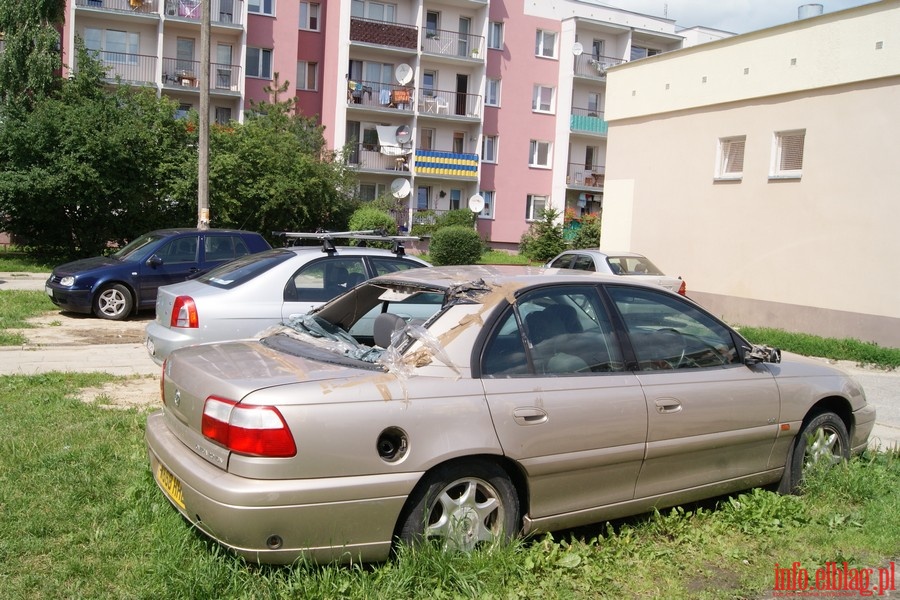 Jeden dzie okiem patrolu Stray Miejskiej, fot. 11