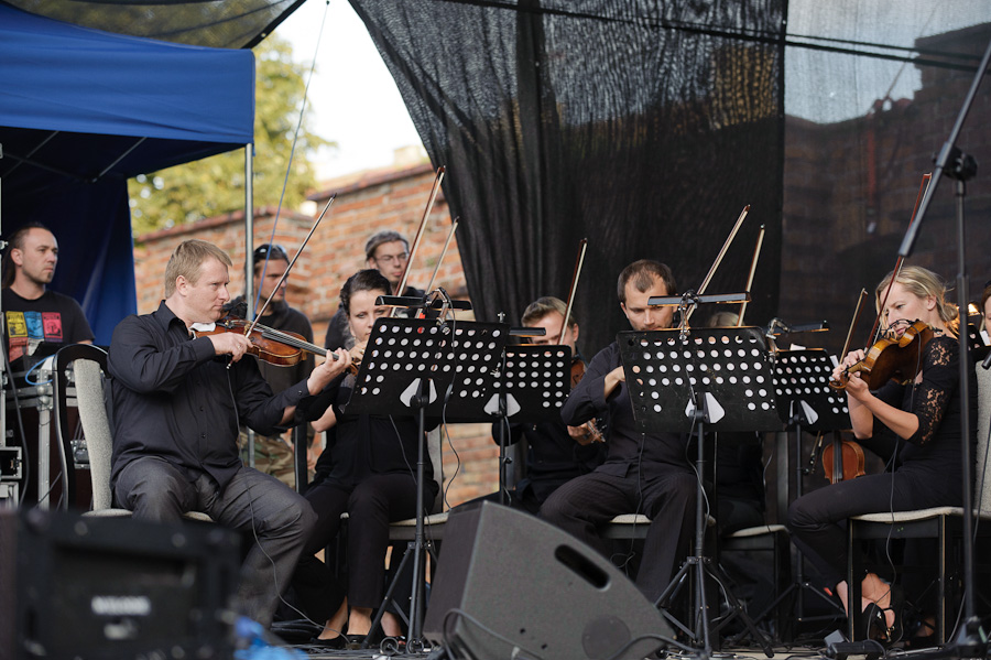 Koncert Zakopower podczas VI Elblskiego wita Chleba, fot. 6