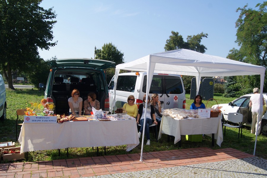 Festyn z okazji X Ogólnopolskich Dni Solidarności z Osobami Chorującymi Psychicznie, fot. 15