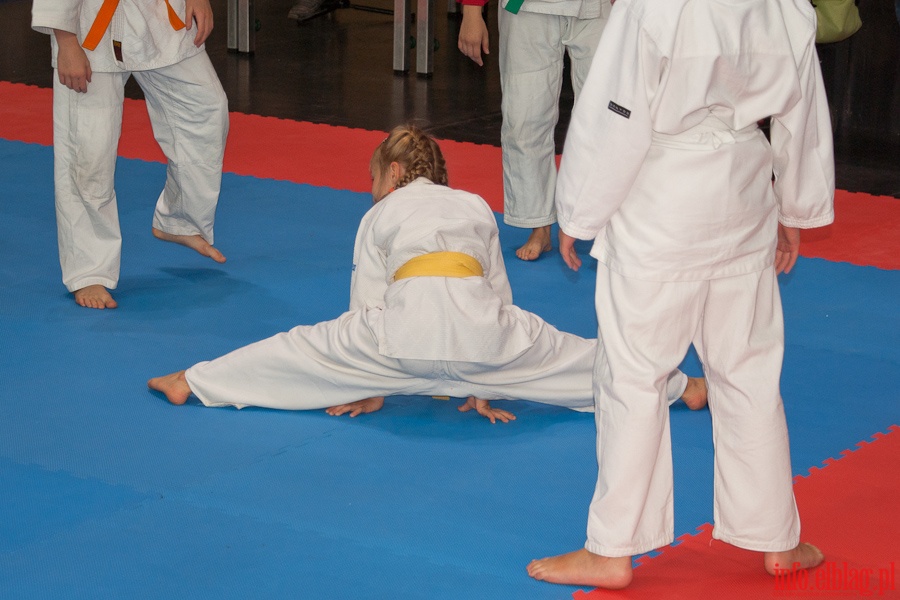 Pierwsze Elbląskie Targi Sport Expo w hali CSB, fot. 49