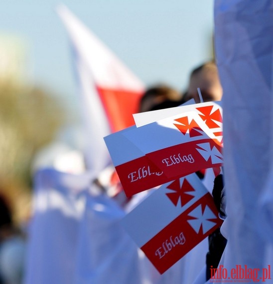Obchody Narodowego wita Niepodlegoci - 2011 rok, fot. 45