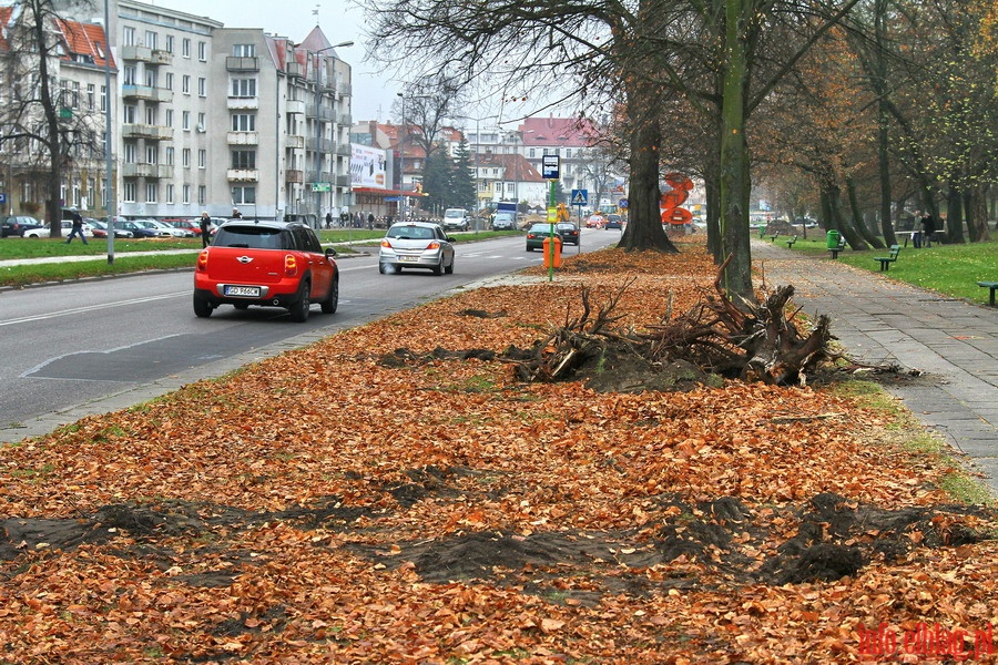 Przebudowa drg wojewdzkich nr 503 i 504 w Elblgu, fot. 3