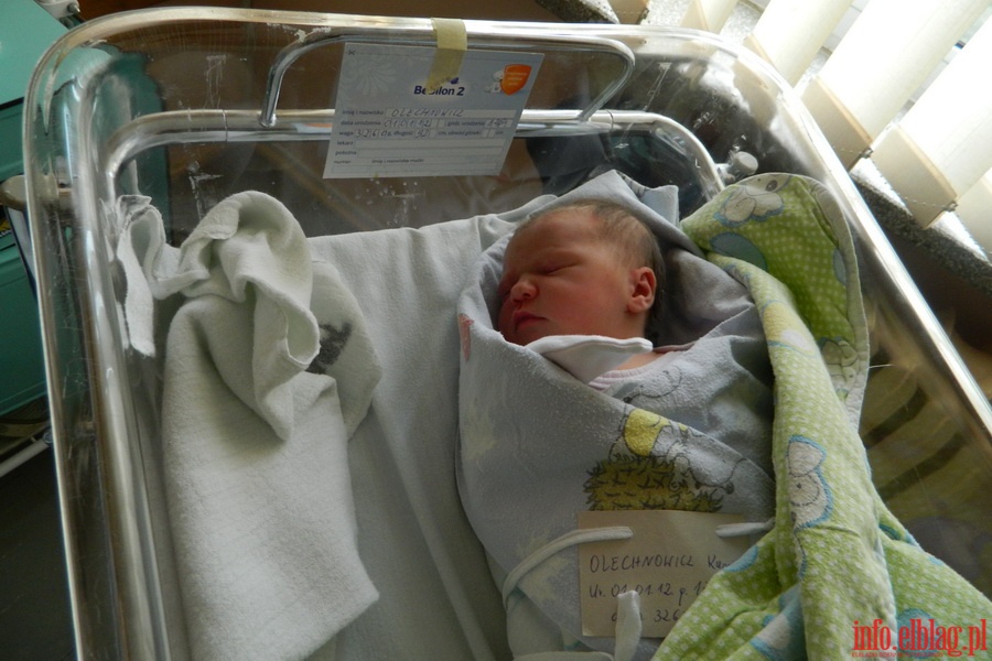 Elblanie urodzeni w 2012 roku, fot. 2