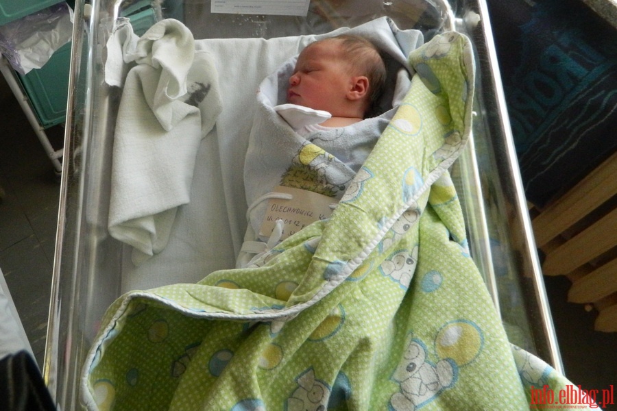 Elblanie urodzeni w 2012 roku, fot. 3