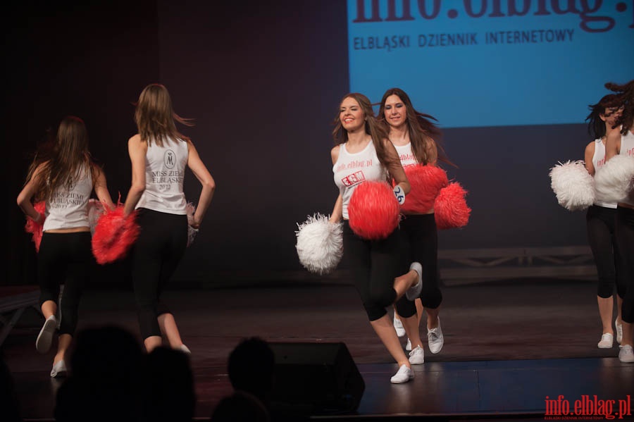 Gala finaowa wyborw Miss Polski Ziemi Elblskiej 2012 , fot. 109