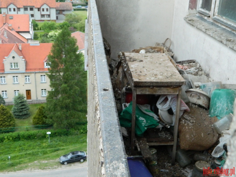 Dokarmianie dzikich gołębi, fot. 6