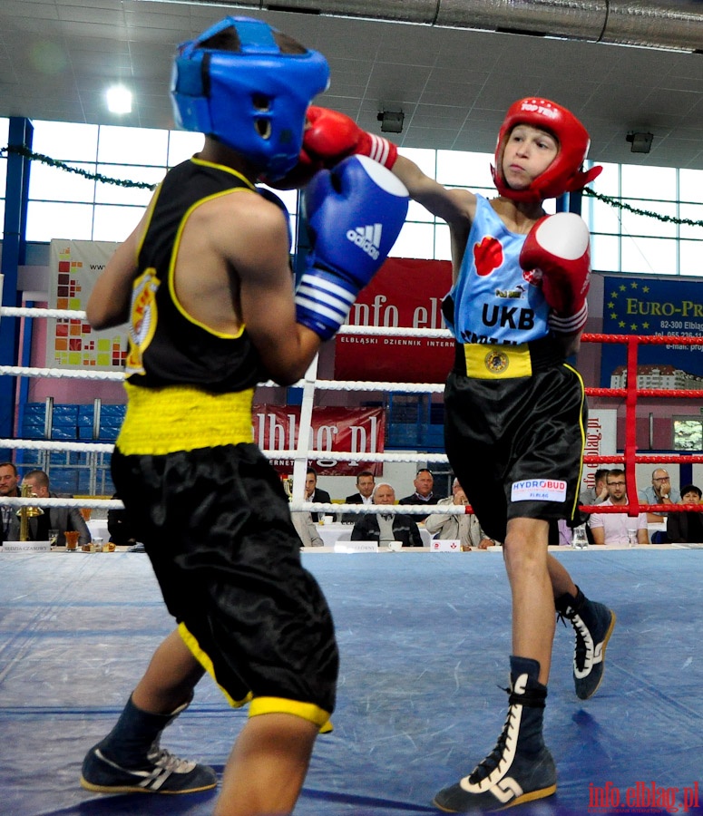 Międzynarodowy Mecz Bokserski o Puchar Prezydenta Elbląga - KSW „Tygrys” vs Angered Boxing Club Göteborg (Szwecja), fot. 8