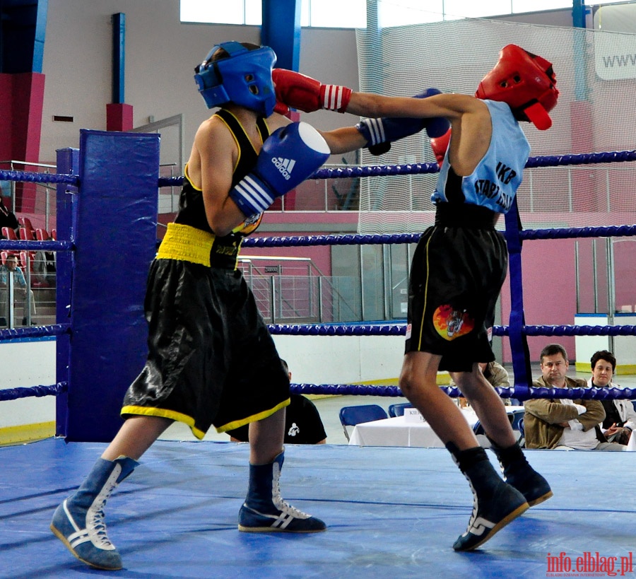 Międzynarodowy Mecz Bokserski o Puchar Prezydenta Elbląga - KSW „Tygrys” vs Angered Boxing Club Göteborg (Szwecja), fot. 9