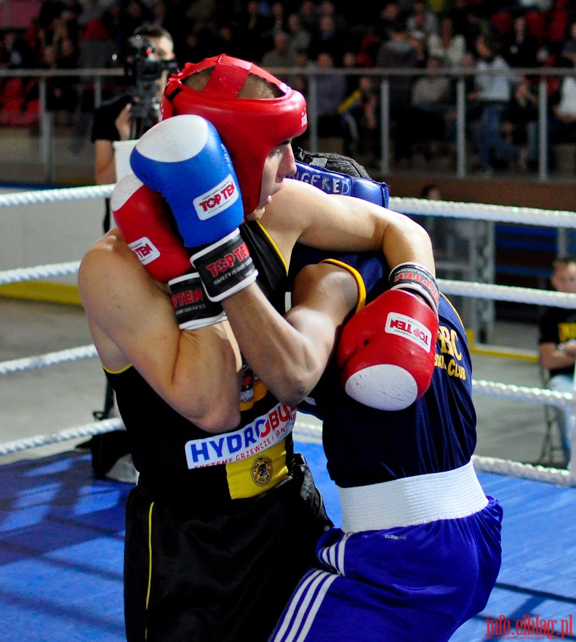 Międzynarodowy Mecz Bokserski o Puchar Prezydenta Elbląga - KSW „Tygrys” vs Angered Boxing Club Göteborg (Szwecja), fot. 30
