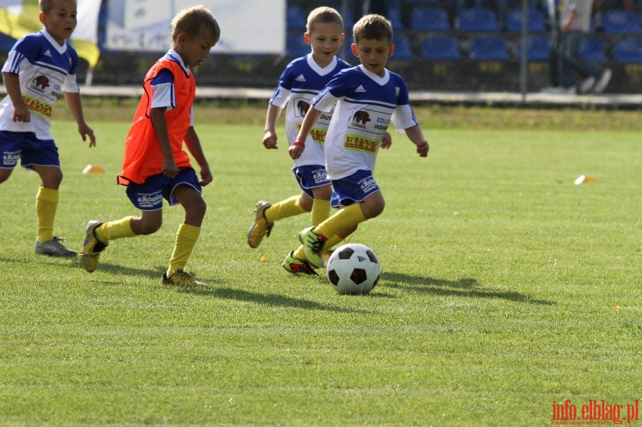 Puchar Polski: Olimpia Elblg - Korona Kielce 1-2, fot. 15