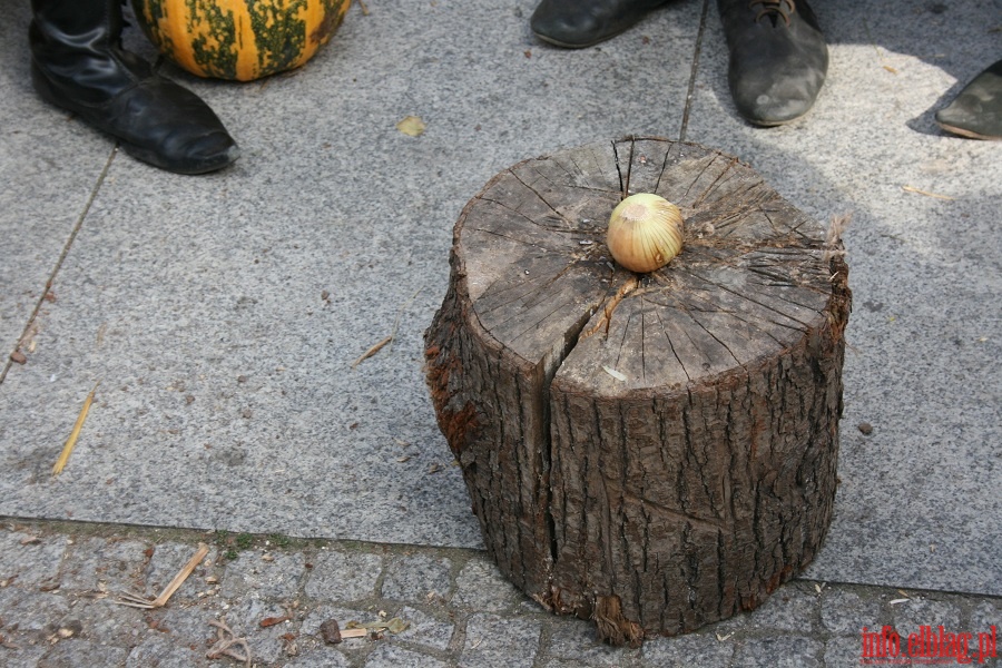 III Turniej Miast Kopernikańskich - Elbląg 2.09.2012 r., fot. 74