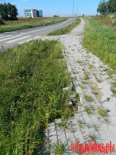 Niszczejące chodniki na Modrzewinie, fot. 6