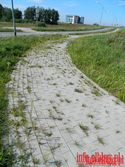 Niszczejące chodniki na Modrzewinie, fot. 7