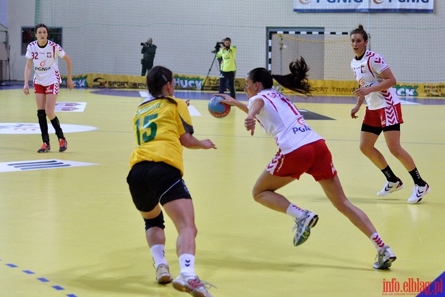 Mecz Polska-Litwa/ Elbląg, 21.11.2012, fot. 21