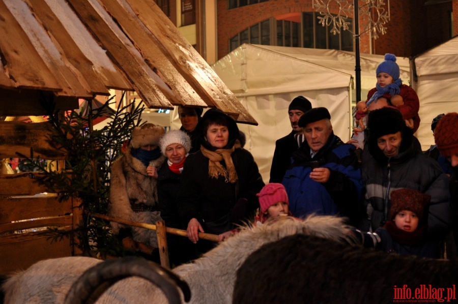 Świąteczne Spotkania Elblążan - niedziela, 16 grudnia 2012r., fot. 27