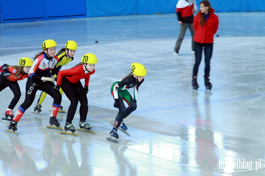 Zawody Danubia Series – Elblag Cup 2013 - dzie 1, fot. 8