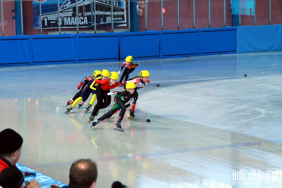 Zawody Danubia Series – Elblag Cup 2013 - dzień 1, fot. 10