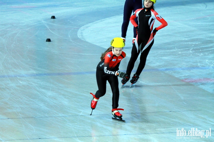 Zawody Danubia Series – Elblag Cup 2013 - dzień 1, fot. 37