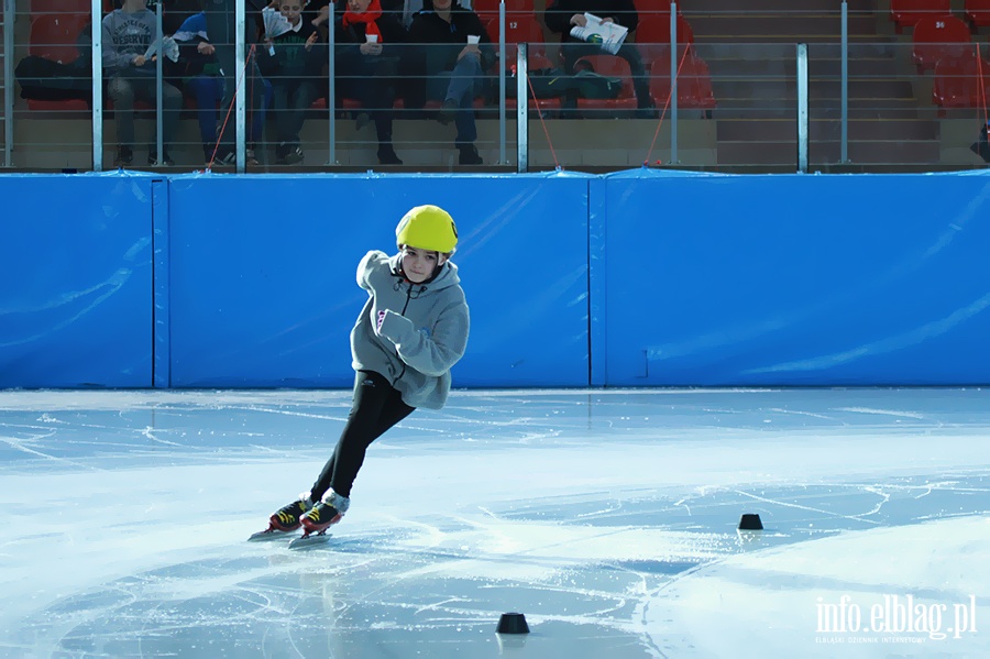 Zawody Danubia Series – Elblag Cup 2013 - dzień 1, fot. 66