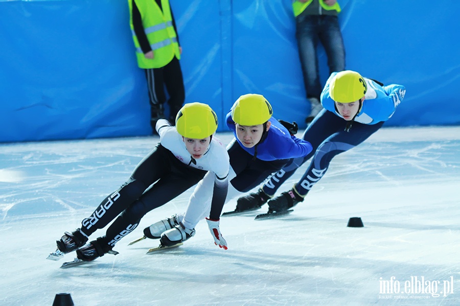 Zawody Danubia Series – Elblag Cup 2013 - dzie 1, fot. 82