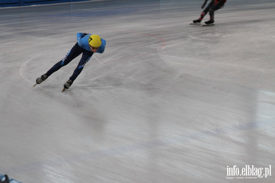 Zawody Danubia Series – Elblag Cup 2013 - dzie 2 , fot. 2