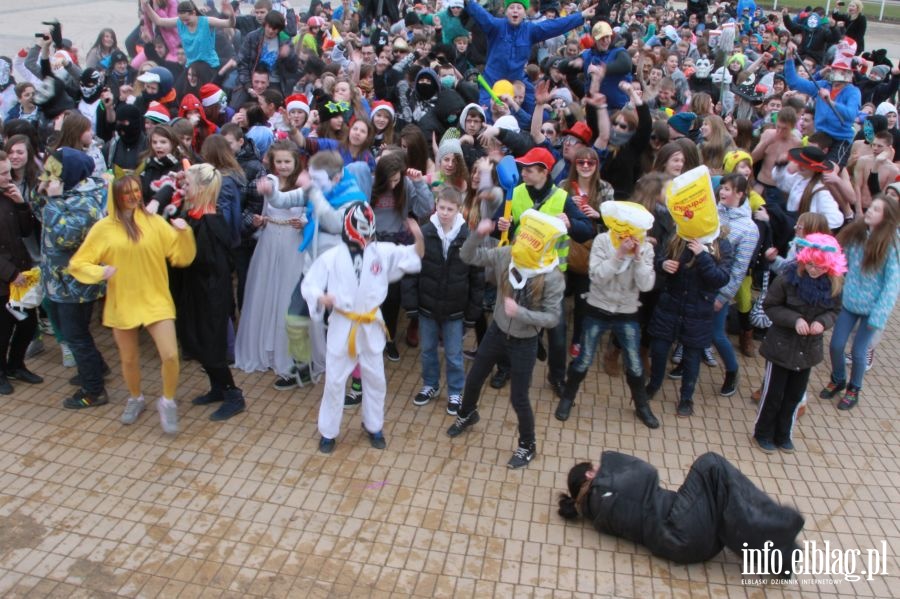 Harlem Shake w Elblągu, fot. 74