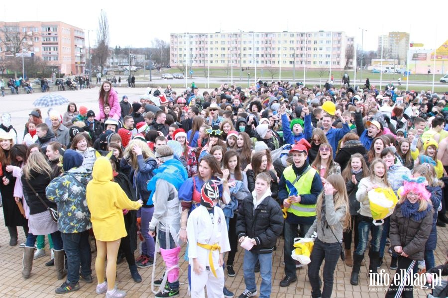 Harlem Shake w Elblągu, fot. 80