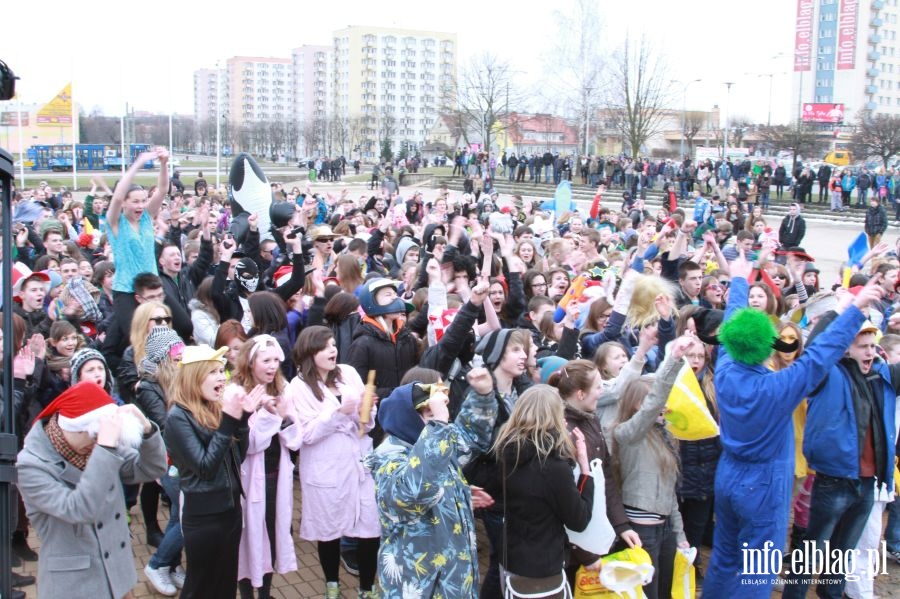Harlem Shake w Elblągu, fot. 94