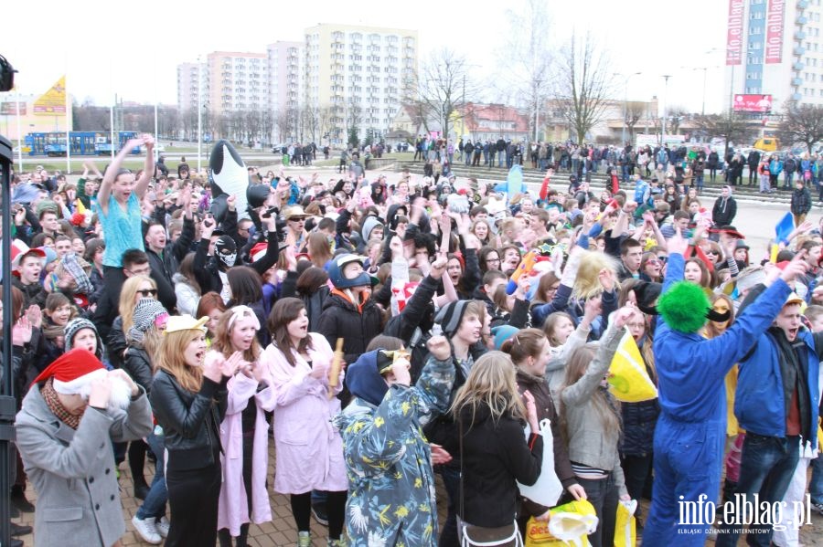 Harlem Shake w Elblgu, fot. 94