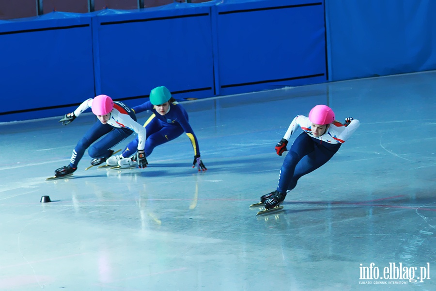  Zawody Danubia Series – Elblag Cup 2013 - dzie 3, fot. 2