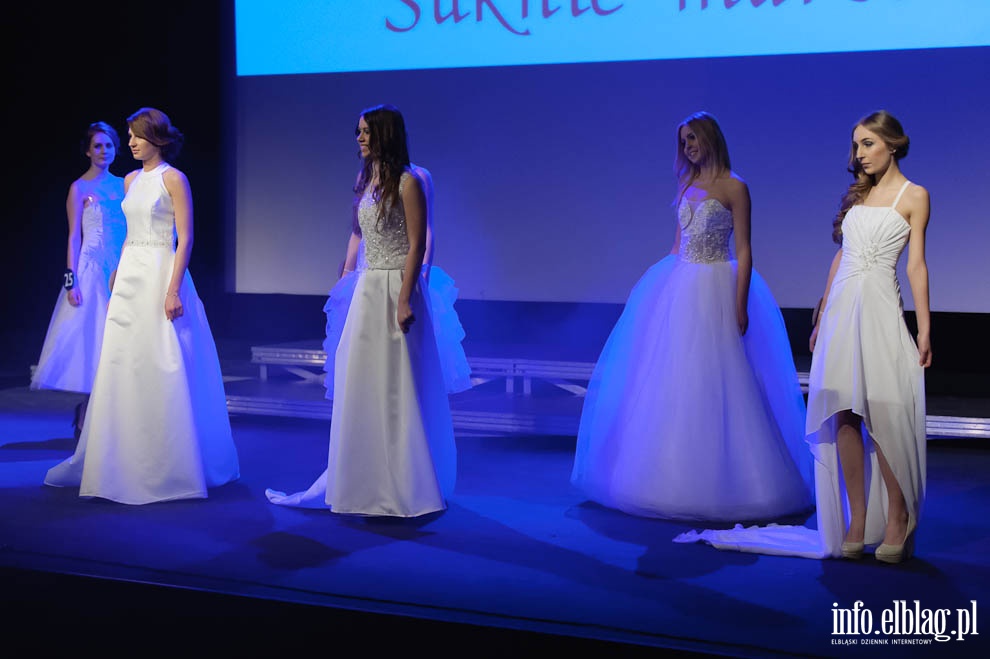 Gala Miss Ziemi Elblskiej 2013, fot. 130