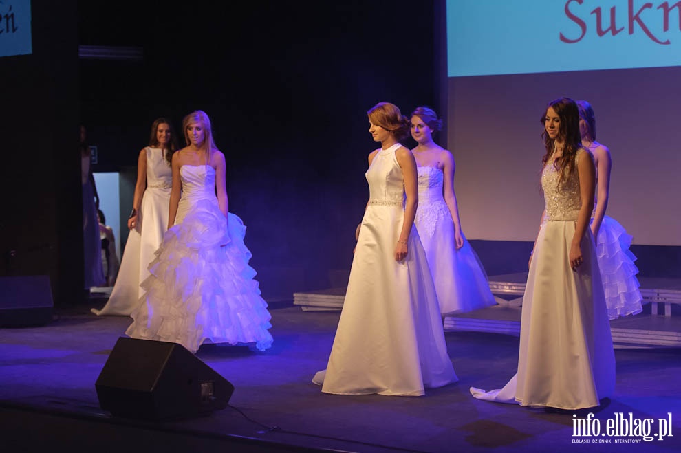 Gala Miss Ziemi Elblskiej 2013, fot. 131