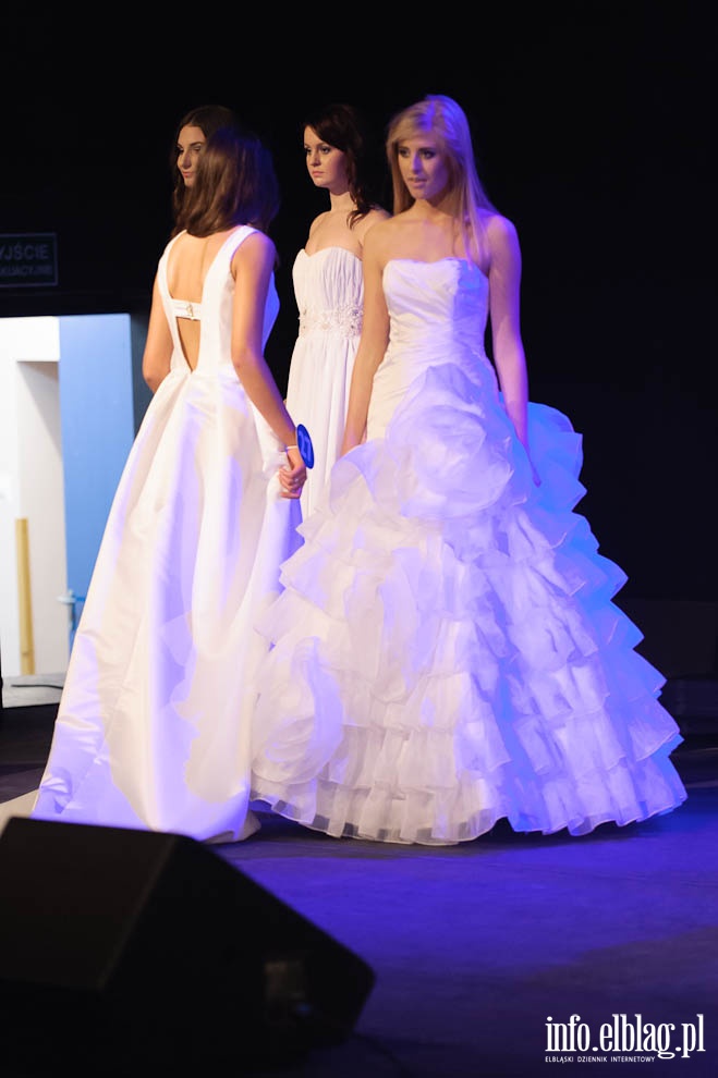 Gala Miss Ziemi Elblskiej 2013, fot. 138