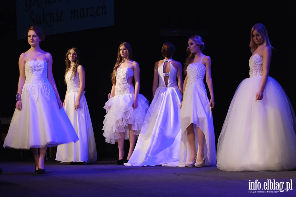 Gala Miss Ziemi Elblskiej 2013, fot. 142