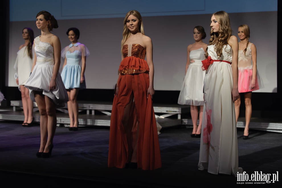 Gala Miss Ziemi Elblskiej 2013, fot. 159