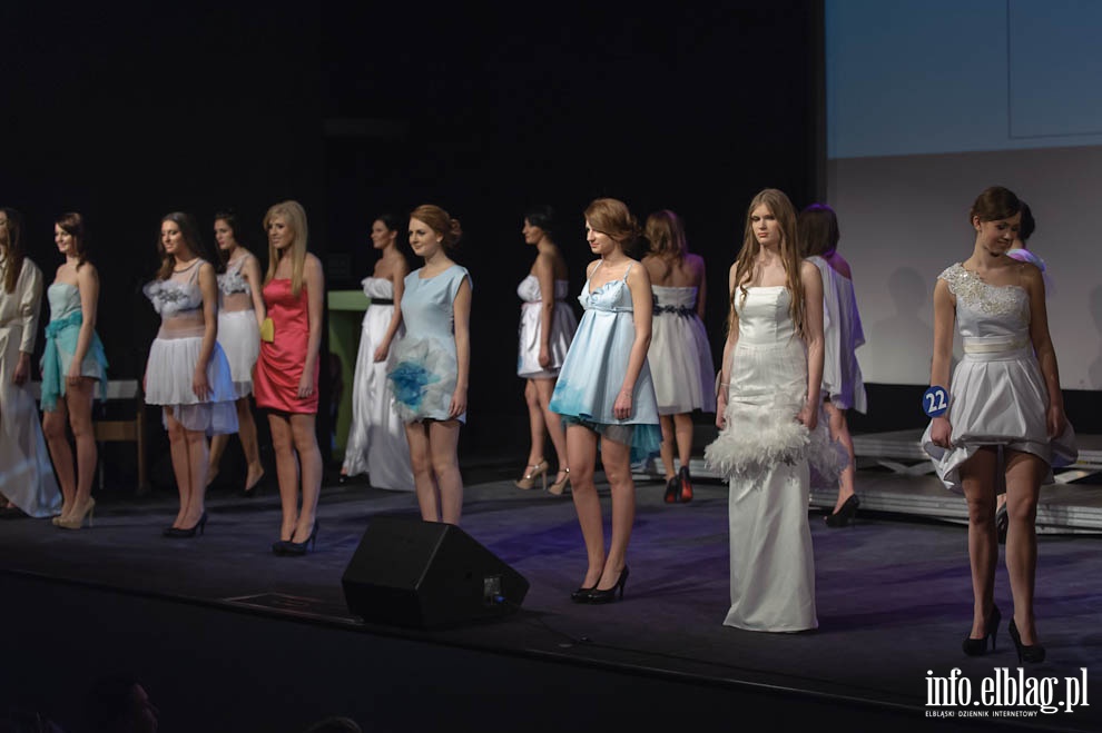 Gala Miss Ziemi Elblskiej 2013, fot. 160