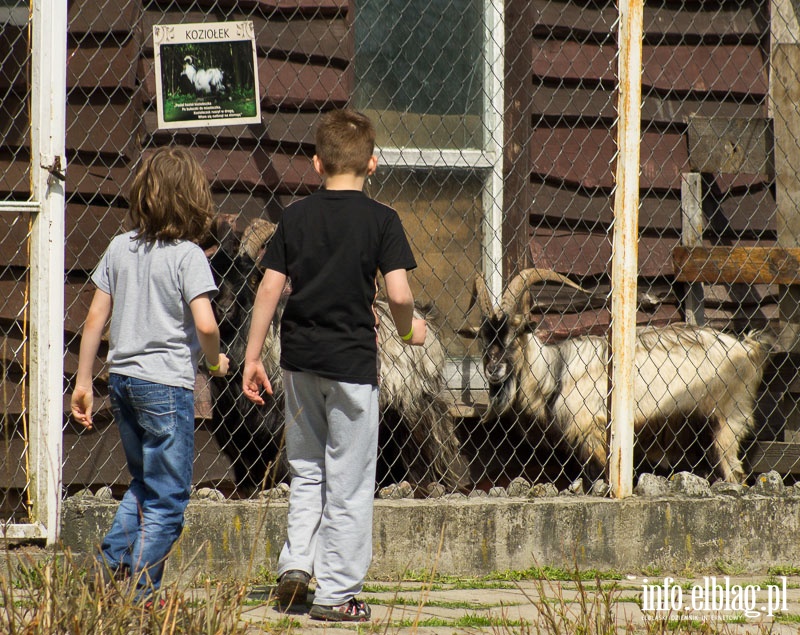 Rodzinny Park Rozrywki z największą na świecie zjeżdżalnią, fot. 35