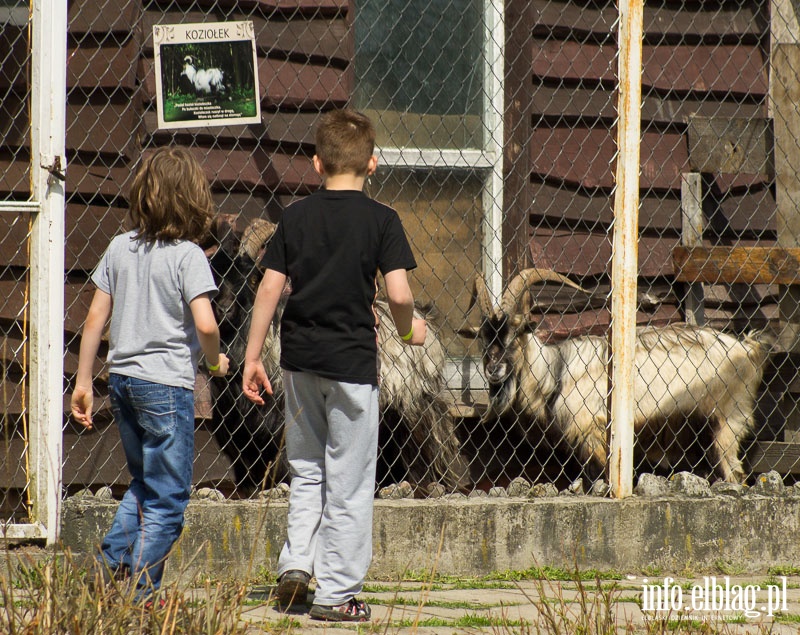 Rodzinny Park Rozrywki z najwiksz na wiecie zjedalni, fot. 35