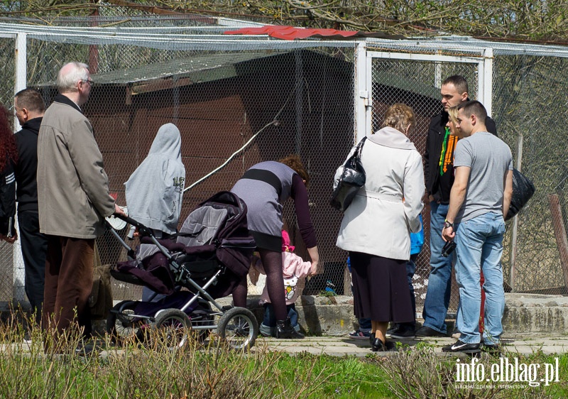 Rodzinny Park Rozrywki z najwiksz na wiecie zjedalni, fot. 36