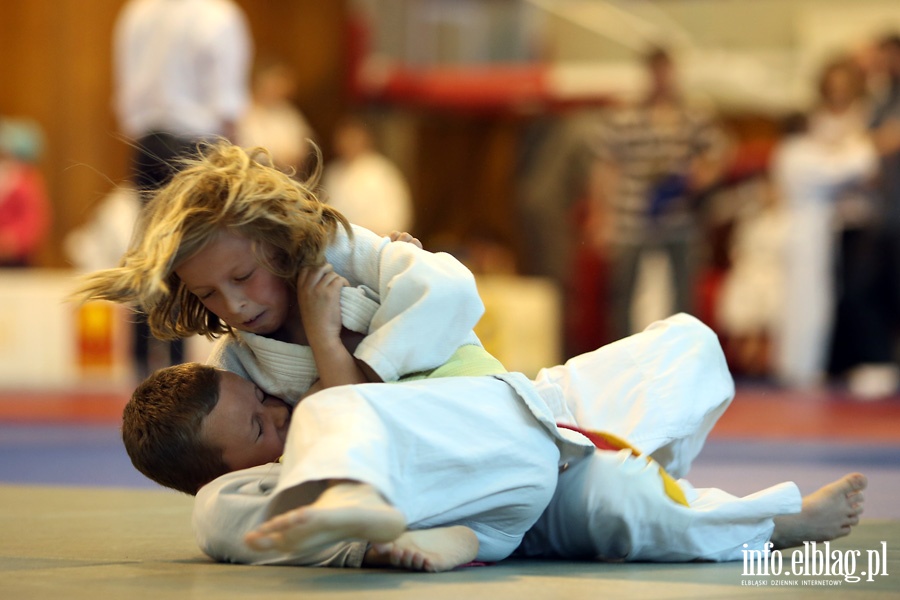 Oglnopolskie Otwarte Mistrzostwa Elblga Dzieci i Modzikw w Judo, fot. 23
